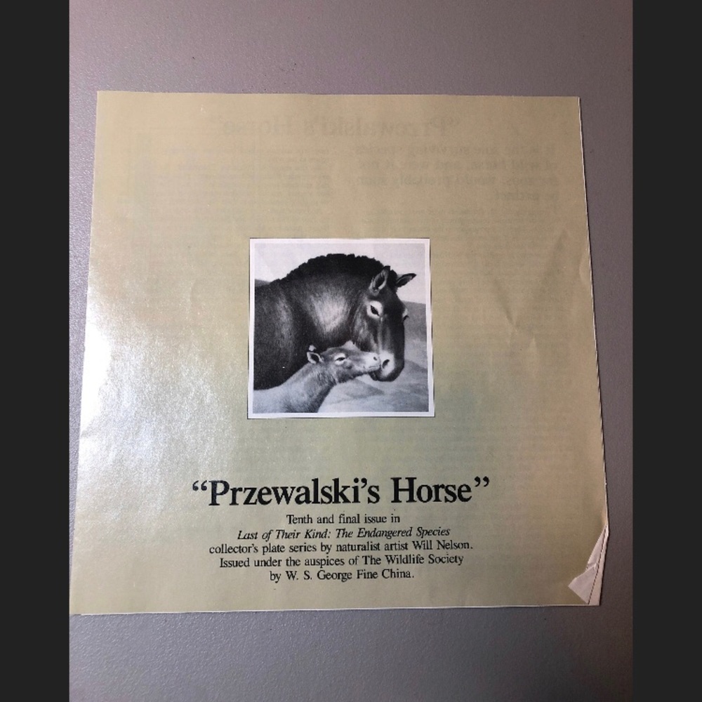 Przewalski’s Horse Bradford Exchange Plate - Picture 5 of 7